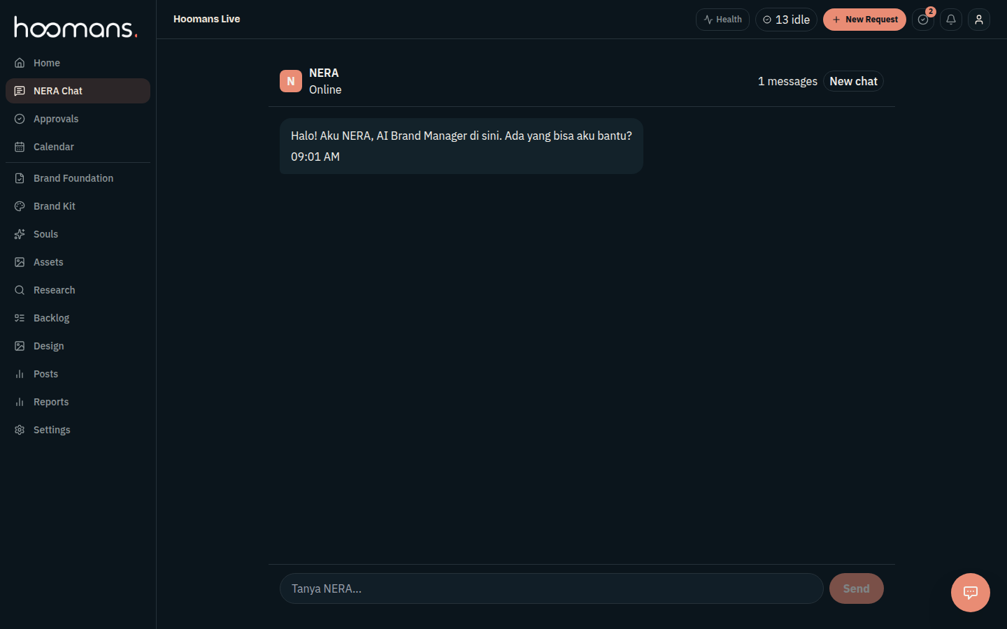 NERA Chat